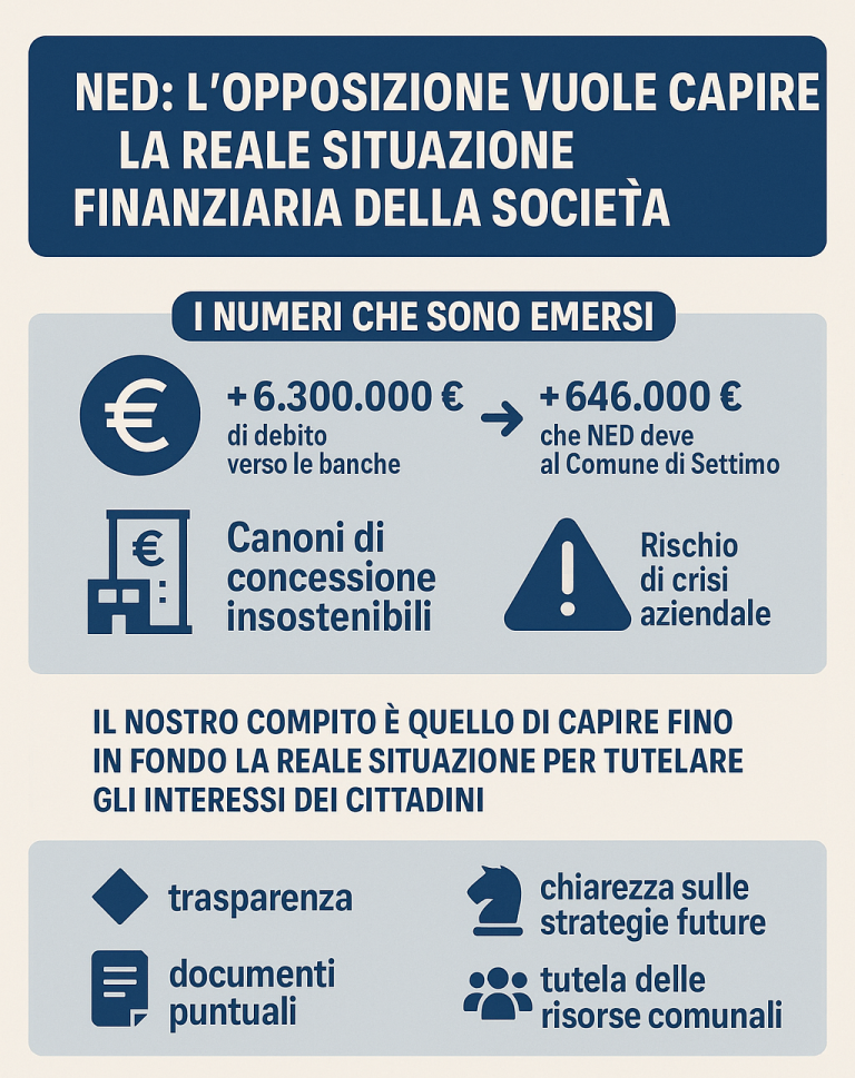 NED, quale situazione